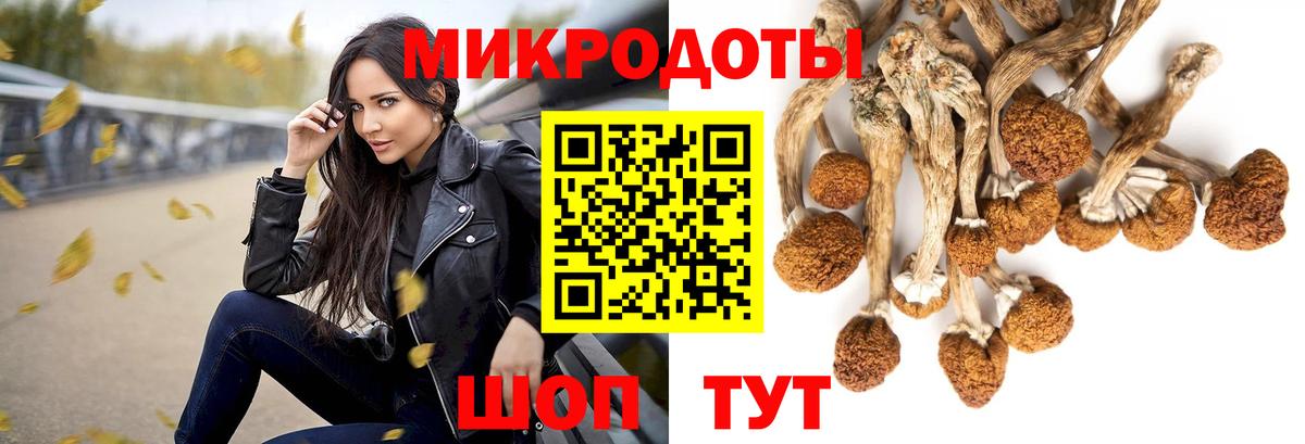Галлюциногенные грибы MAGIC MUSHROOMS  что такое   Вход с VPN  Алушта  Псилоцибиновые грибы ЛСД 