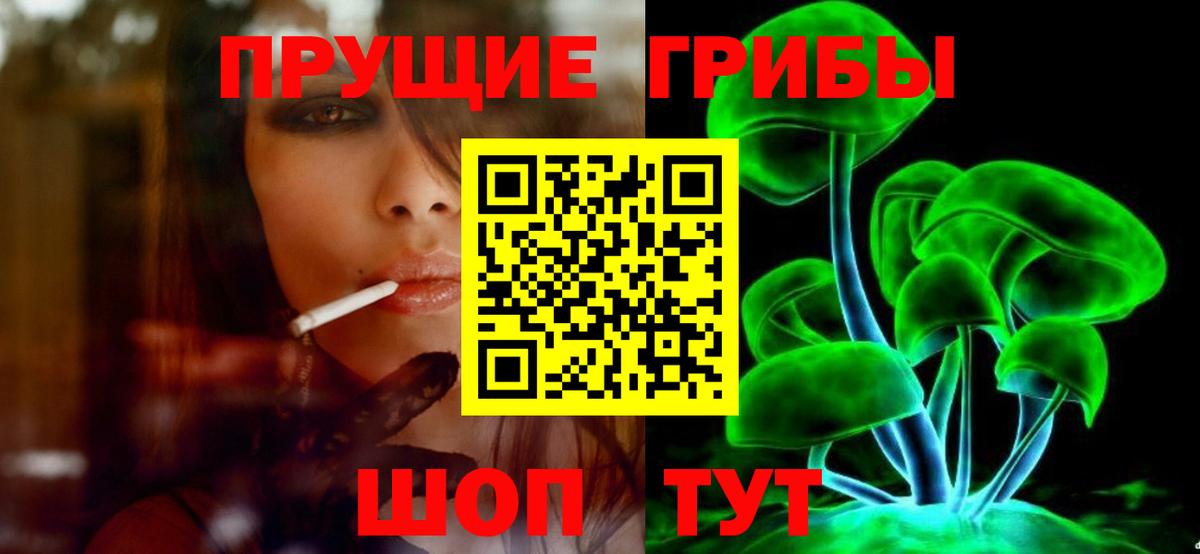 Галлюциногенные грибы Psilocybine cubensis Алушта